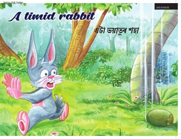 A Timid Rabbit